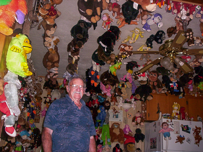 older man with stuffed monkeys pinned to walls and ceiling.