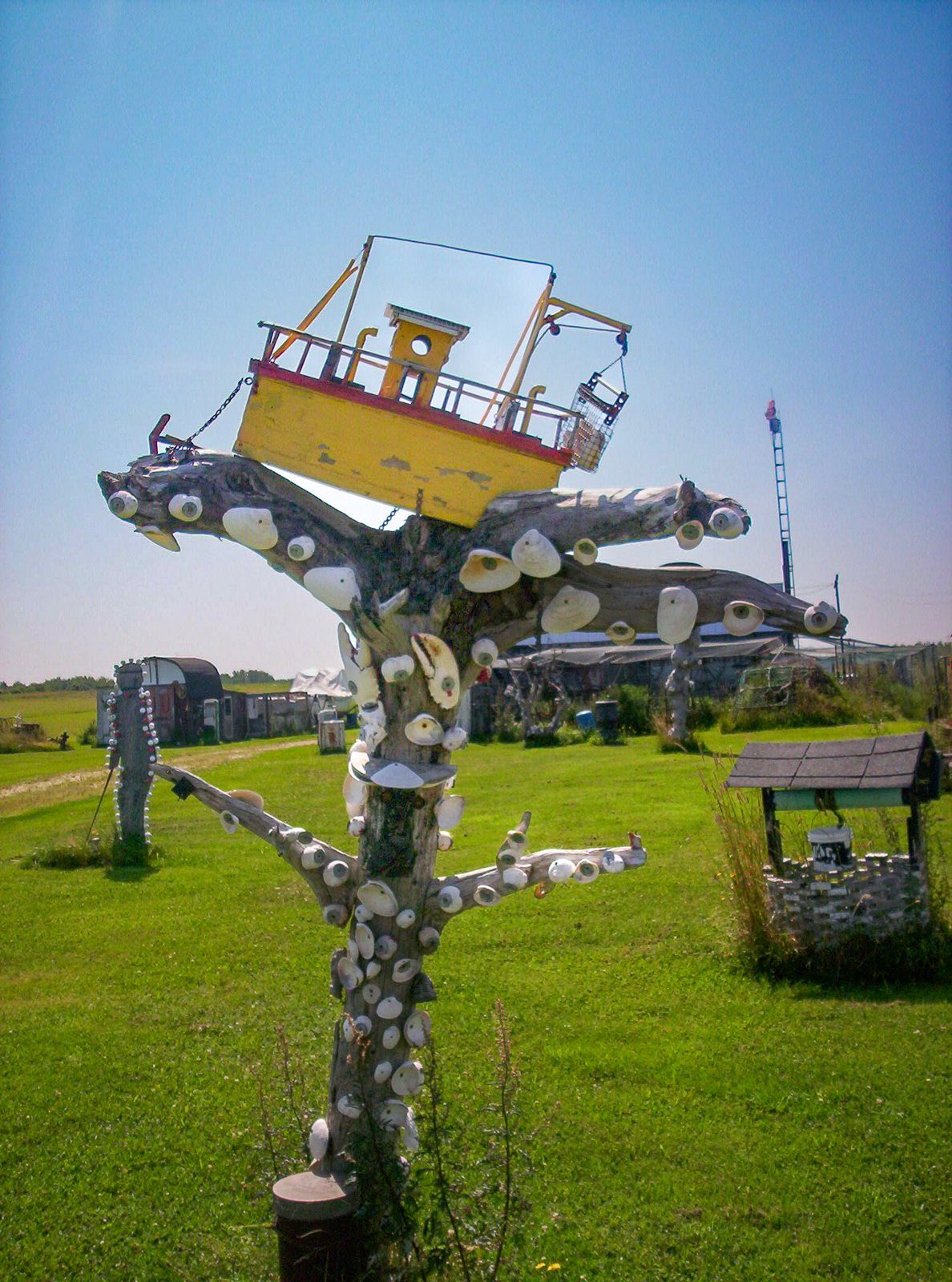 artwork boat on a limb with shells on it