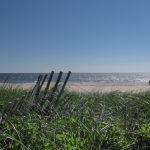 beach scene with snow fence and beach grass in foreground