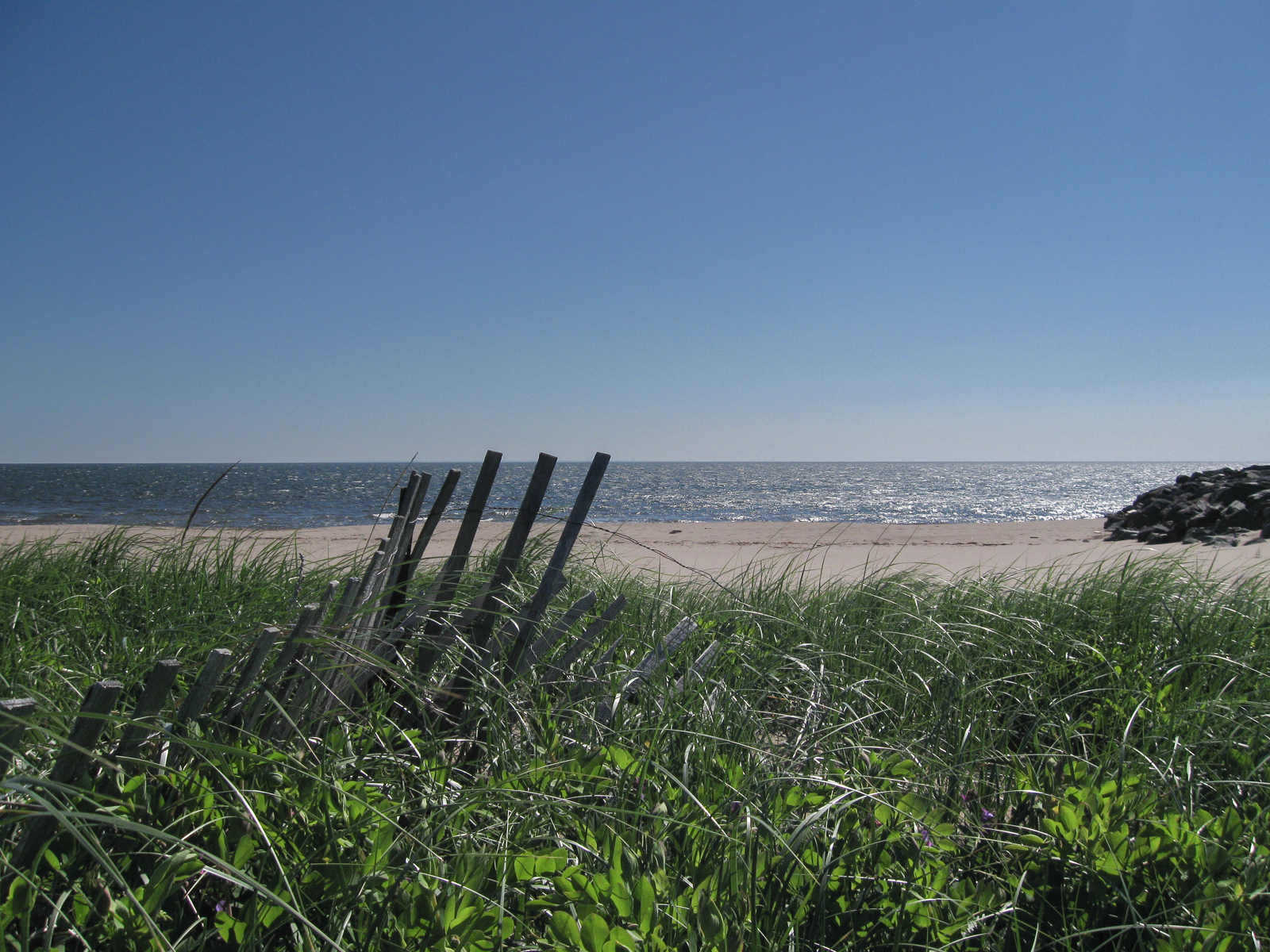 beach scene with snow fence and beach grass in foreground