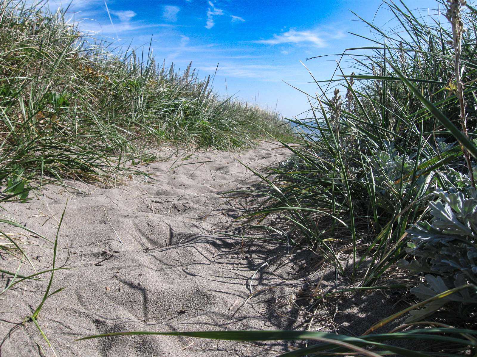 beach sand path to beach